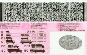 South African Drivers Licence Codes